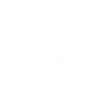 Fleur D'Orange Fragrance