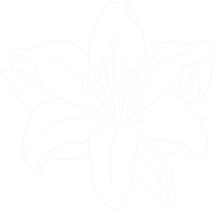 Green Lily Fragrance