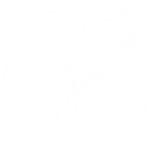 Royal Hibiscus Fragrance