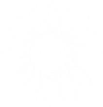 Sun Blossom Fragrance